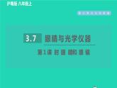 2021秋八年级物理上册第3章3.7眼睛与光学仪器课件+教案+学案+素材打包16套新版粤教沪版