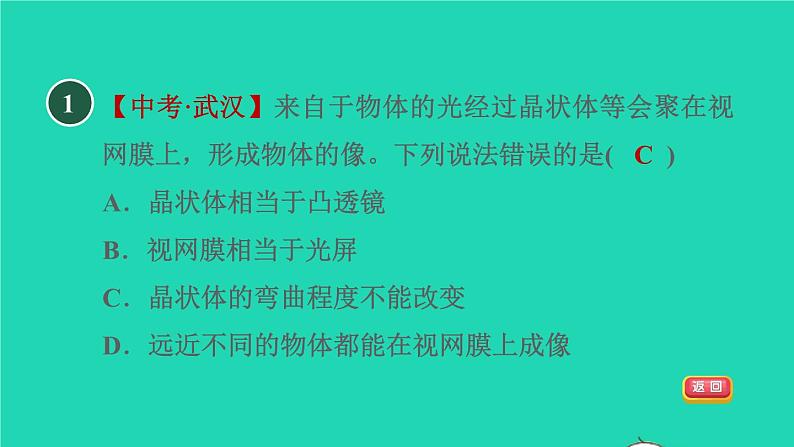 2021秋八年级物理上册第3章3.7眼睛与光学仪器课件+教案+学案+素材打包16套新版粤教沪版04