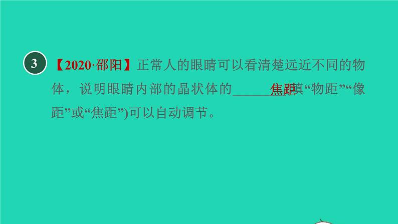 2021秋八年级物理上册第3章3.7眼睛与光学仪器课件+教案+学案+素材打包16套新版粤教沪版06