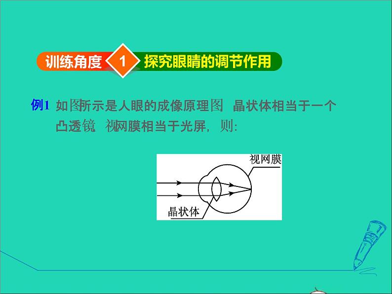 2021秋八年级物理上册第3章3.7眼睛与光学仪器课件+教案+学案+素材打包16套新版粤教沪版03