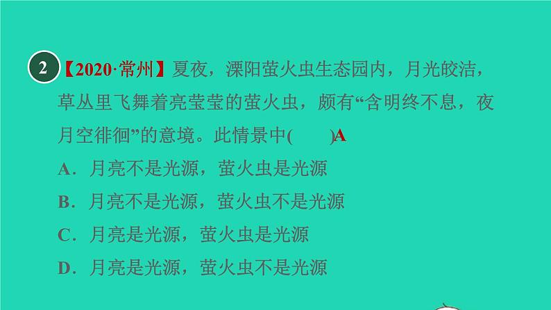 2021秋八年级物理上册第3章光和眼睛3.1光世界巡行习题课件新版粤教沪版20220208127第6页