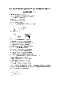 2022年江苏省南京市玄武区南京外国语学校雨花国际学校中考物理模拟试卷（含答案）