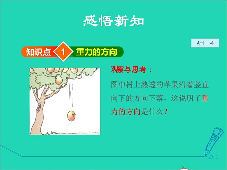 2021秋八年级物理全册第6章熟悉而陌生的力第4节来自地球的力第2课时重力的方向和作用授课课件新版沪科版03