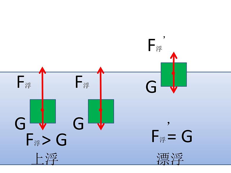 初中物理北师大版八年级《物体的浮沉条件》部优课件06