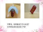 初中物理北师大版八年级下册《力平衡》部优课件