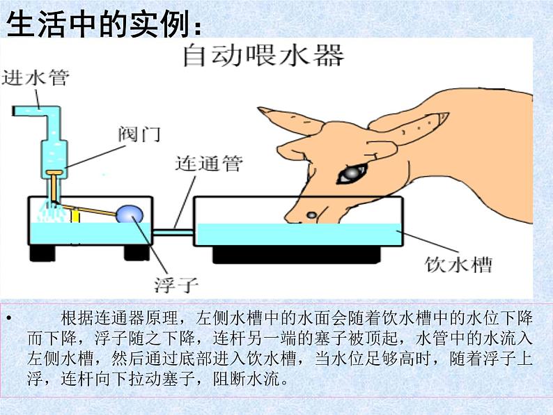 初中物理北师大版八年级下册《连通器》部优课件第5页