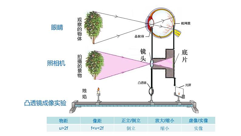 初中物理北师大版八年级下册《常见的光学仪器——眼睛和眼镜》部优课件05