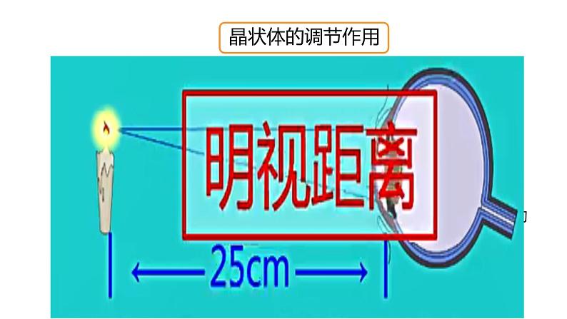 初中物理北师大版八年级下册《常见的光学仪器——眼睛和眼镜》部优课件07