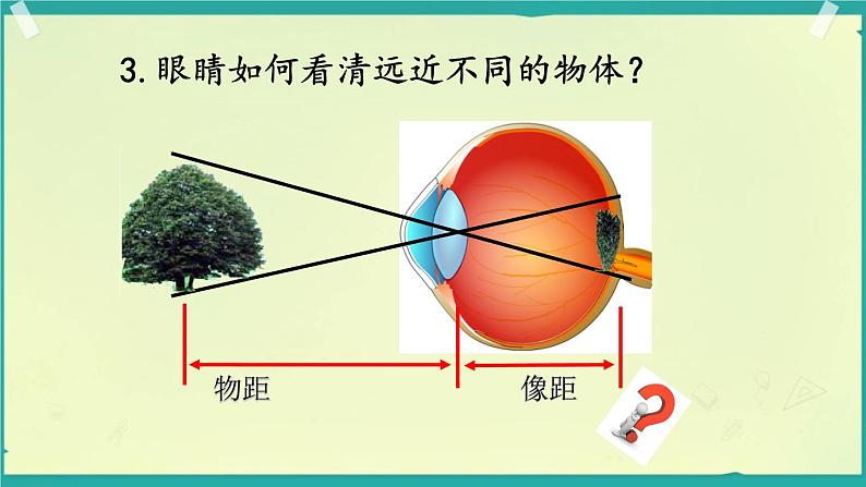 初中物理教科版八年级上册《神奇的眼睛》部优课件第6页