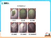 1.1分子动理论基本内容课件PPT