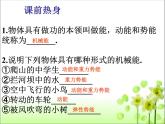 11.4机械能及其转化课件人教版八年级物理下册