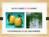 人教版光的反射课件PPT