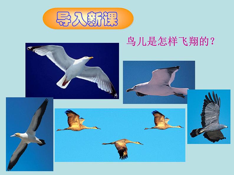 教科版八下物理  10.1 在流体中运动 课件03