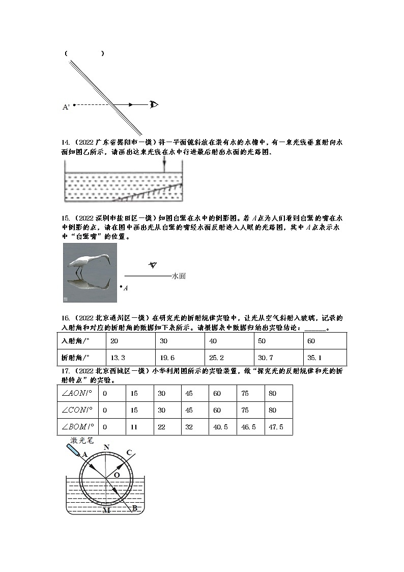 2022年中考物理一模试题分类演练——光现象03