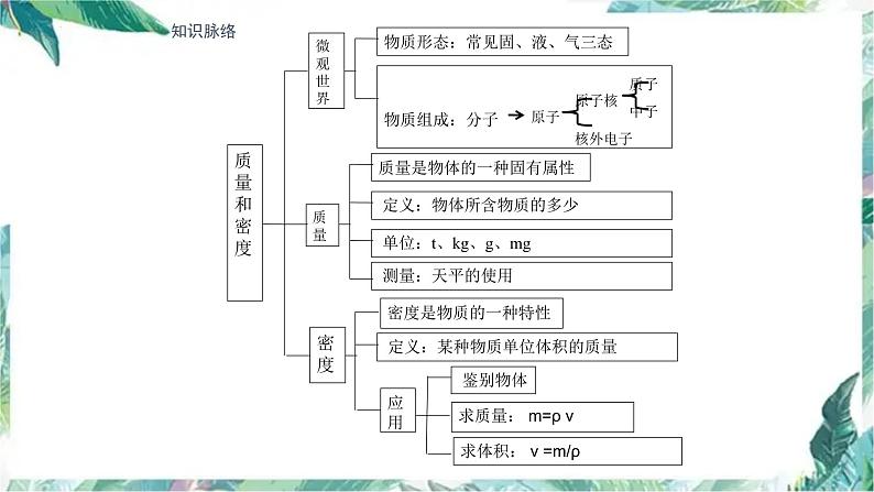 2022年中考物理复习课件---- 质量和密度03