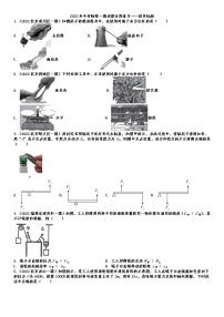 2022年中考物理复习一模试题分类汇编——简单机械