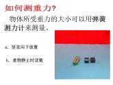 苏科版八年级下册物理 8.2重力 力的示意图 课件