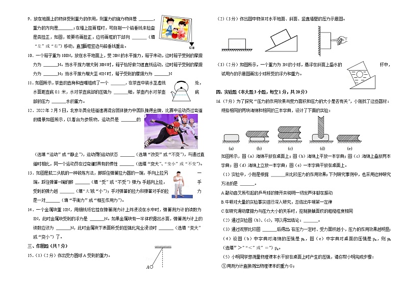 广东省北京师范大学珠海分校附属外国语学校2021-2022学年八年级下学期期中考试物理试题（含答案）第2页