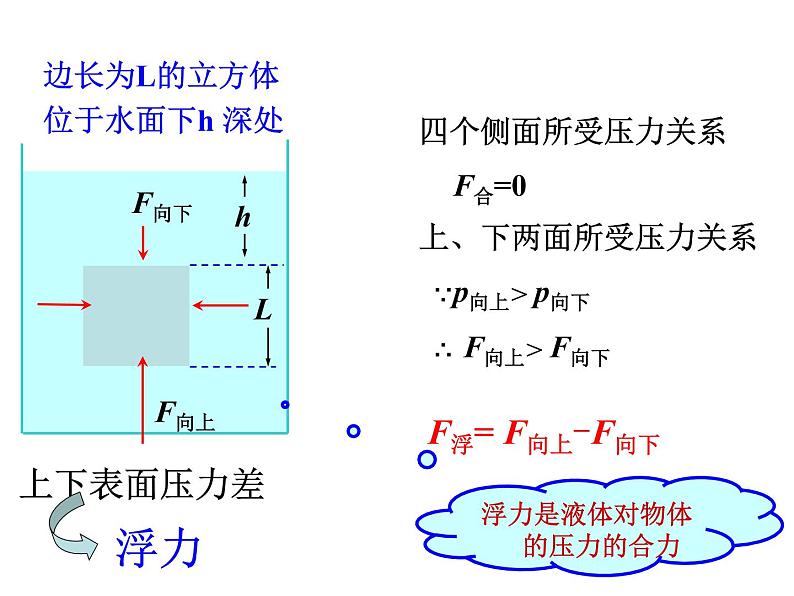 教科版八下物理  10.2 认识浮力 课件08