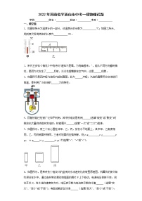 2022年河南省平顶山市中考一模物理试题(word版含答案)