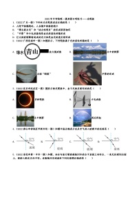 2022年中考物理一模真题专项练习——光现象