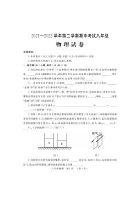 河南省洛阳市嵩县2021-2022学年八年级下学期期中考试物理试题（含答案）