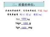 苏科版八年级下册物理 6.1物体的质量 课件