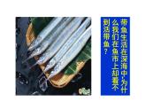 蘇科版八年級(jí)下冊(cè)物理 10.2液體的壓強(qiáng) 課件