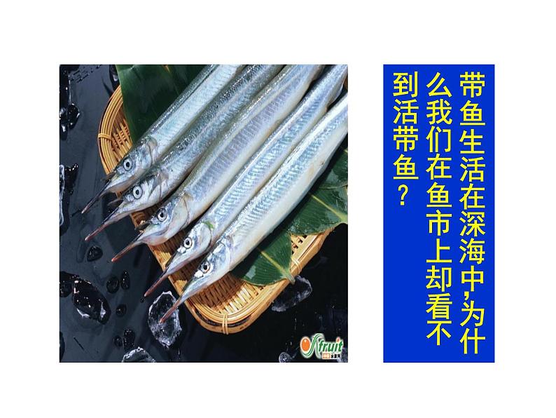 苏科版八年级下册物理 10.2液体的压强 课件第1页