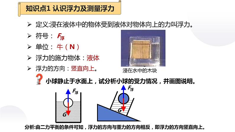 2022年中考物理复习 第九章 浮力与升力（第一课时浮力和阿基米德原理）课件PPT第5页