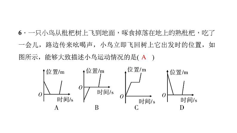 2022年中考物理复习第一章机械运动强化题 课件第5页