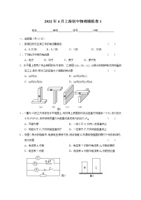 2022年上海市中考模拟物理试题1（上海适用）