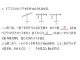 2022年中考物理复习专题实验13　探究杠杆平衡条件课件PPT