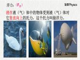 10.1浮力课件2021-2022学年人教版物理八年级下册