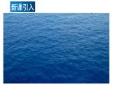 10.1浮力（课件）2021-2022学年人教版八年级物理下册
