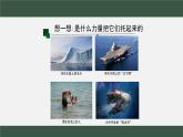 10.1浮力（课件）-2021-2022学年人教版物理八年级下册