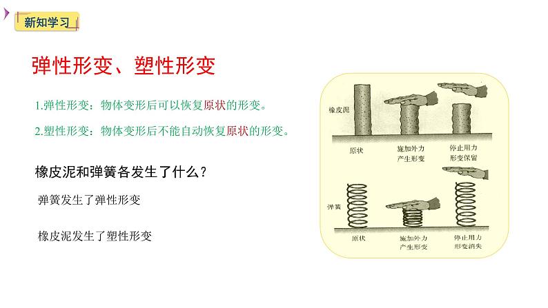 2020-2021学年人教版物理八年级下册7.2弹力【课件】第4页