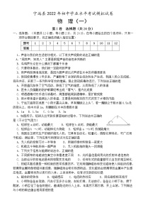 2022年湖南省永州市宁远县初中学业水平考试模拟物理试题（一）(word版含答案)