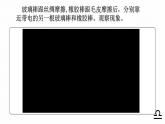 15.1两种电荷课件2021-2022学年人教版物理九年级全一册