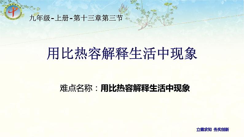 人教版物理九年级全一册教学课件-13.3比热容课件02