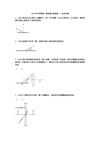 最新中考物理一模试题分类演练——光学作图（有答案）