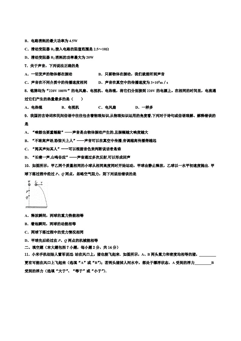 2022学年浙江省金华市金东区中考二模物理试题含解析第3页