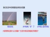 人教版八年级物理上册 4.4 光的折射 课件