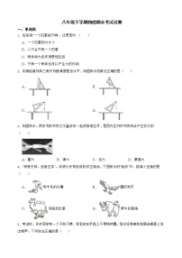 广东省深圳市八年级下学期物理期末考试试卷及答案