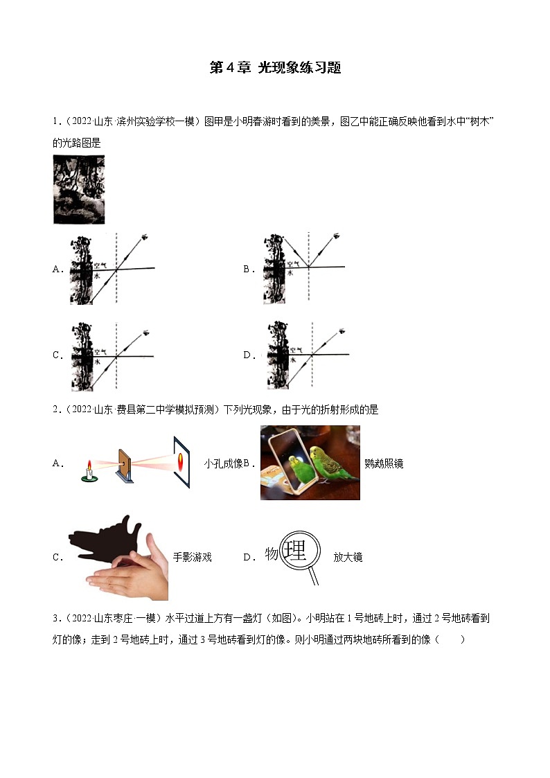 第4章 光现象练习题 2022年山东省各地中考物理模拟题选编第1页