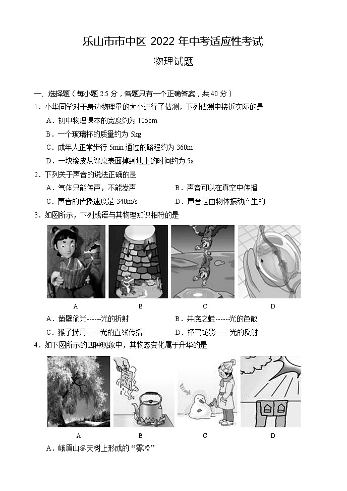 2022年四川省乐山市市中区中考适应性考试物理试题(word版含答案) 试卷01