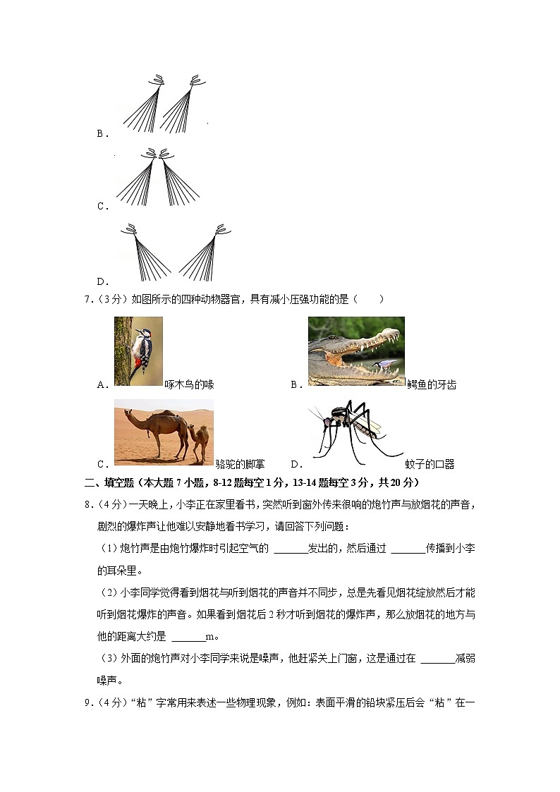 2021年广东省江门市蓬江区中考物理模拟试卷（二）第3页