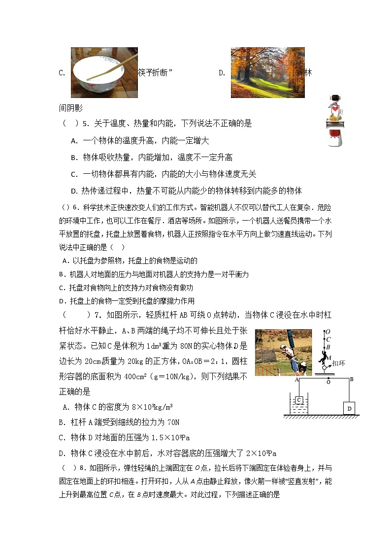 2022年四川省眉山天府新区中考物理适应检测试卷（二）（无答案）第2页