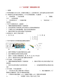 初中物理人教版八年级上册第5节 光的色散随堂练习题