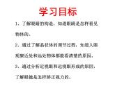 5.4  眼睛和眼镜（课件）2021-2022学年人教版物理八年级上册(共16张PPT)